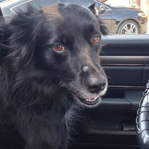 Meet your Posher, LdyTrkr_007 - Picture 3 of 4